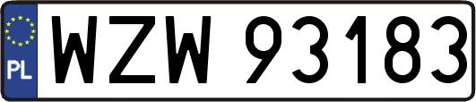 WZW93183