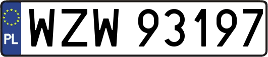 WZW93197
