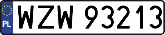 WZW93213