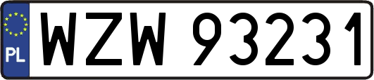 WZW93231