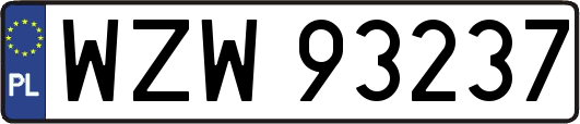 WZW93237