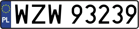 WZW93239