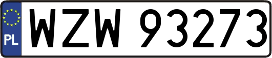 WZW93273