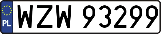 WZW93299