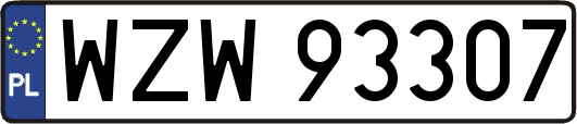 WZW93307