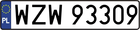 WZW93309