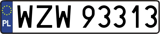 WZW93313