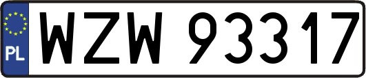 WZW93317