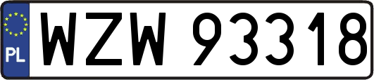 WZW93318