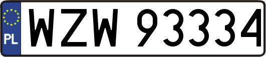 WZW93334