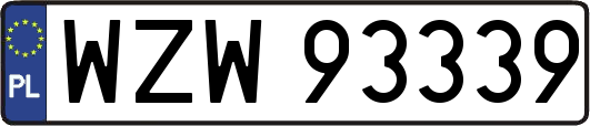 WZW93339