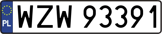 WZW93391