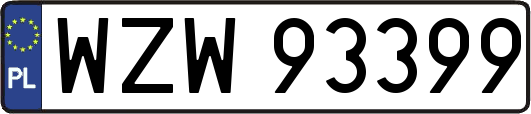 WZW93399