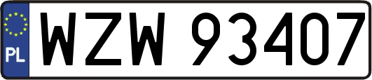 WZW93407