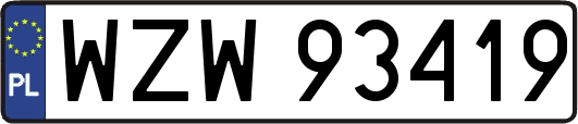 WZW93419