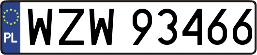 WZW93466