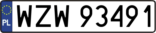 WZW93491
