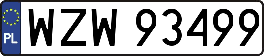 WZW93499