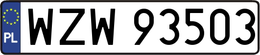 WZW93503