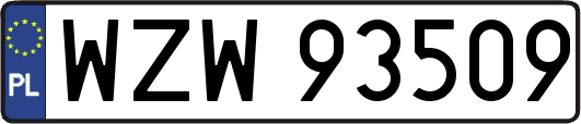 WZW93509