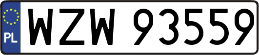 WZW93559