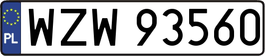 WZW93560