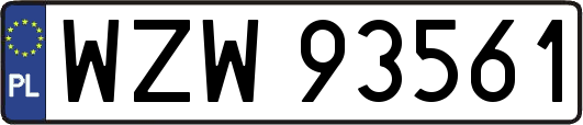 WZW93561