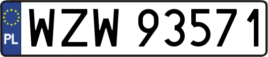 WZW93571