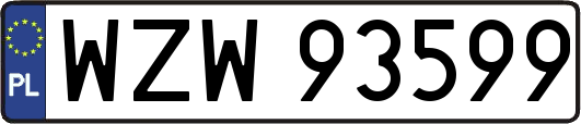 WZW93599