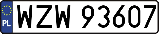 WZW93607