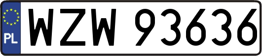 WZW93636
