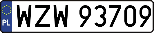 WZW93709
