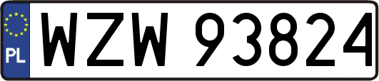 WZW93824