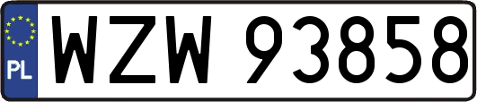 WZW93858