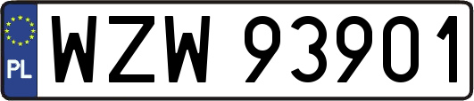 WZW93901