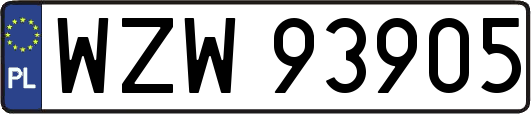 WZW93905