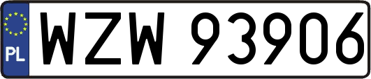 WZW93906