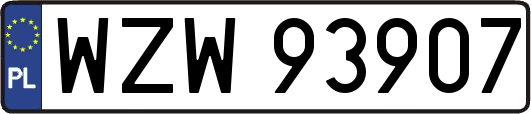 WZW93907