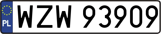 WZW93909