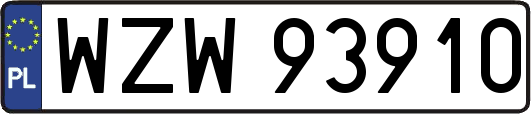 WZW93910