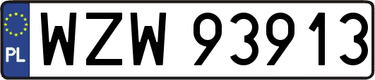 WZW93913