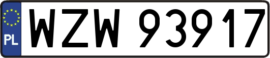WZW93917