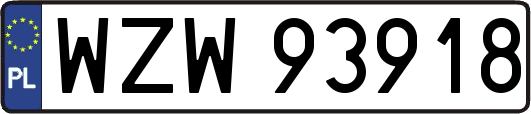 WZW93918