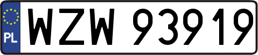 WZW93919