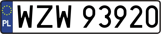 WZW93920