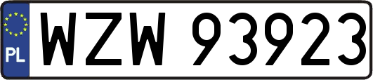 WZW93923