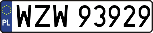 WZW93929
