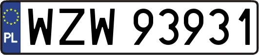 WZW93931