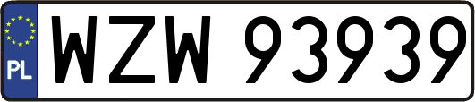 WZW93939