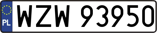 WZW93950